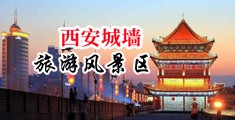 大鸡巴捅逼中国陕西-西安城墙旅游风景区